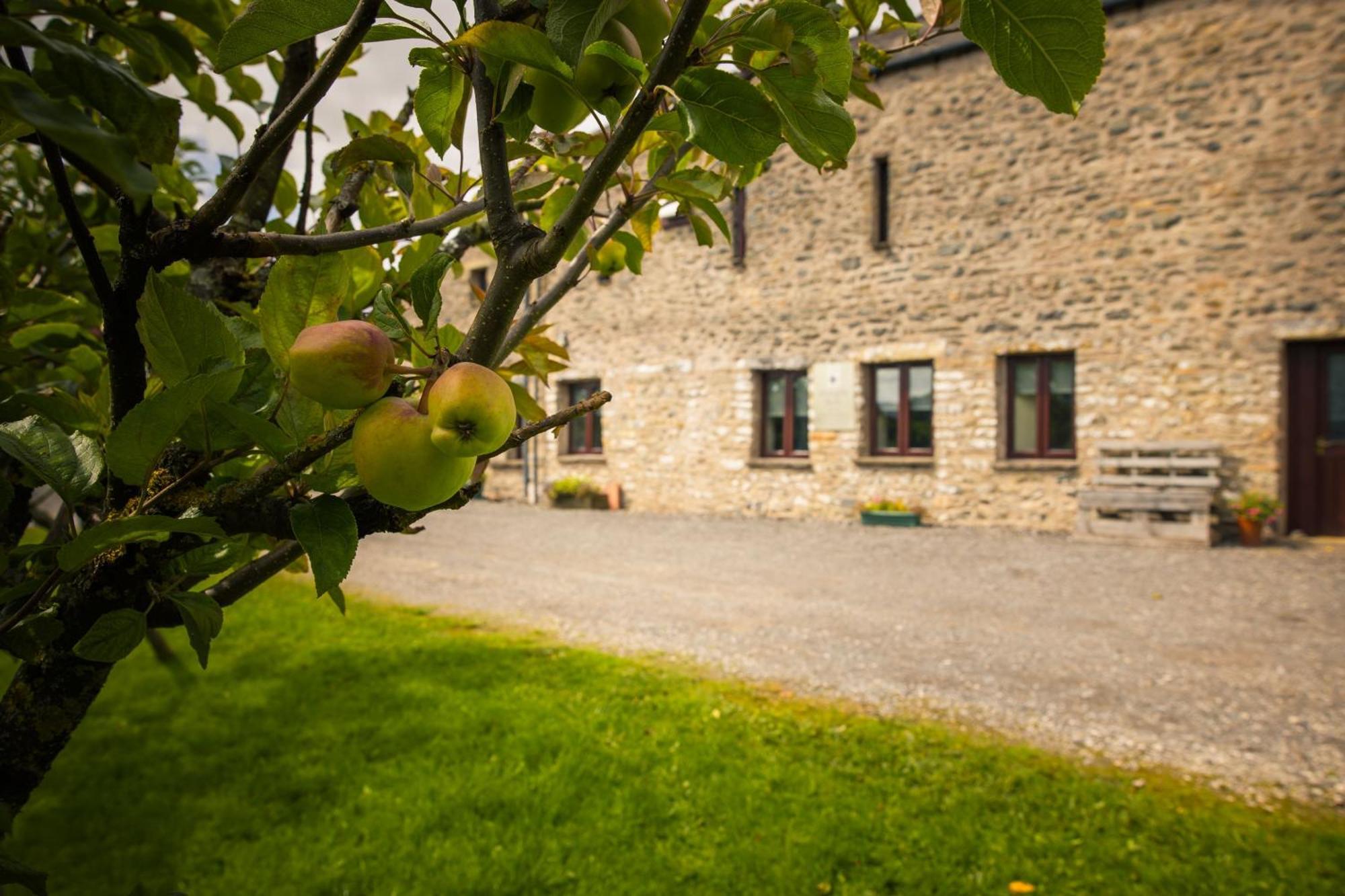 Howgills Barn Βίλα Sedbergh Εξωτερικό φωτογραφία